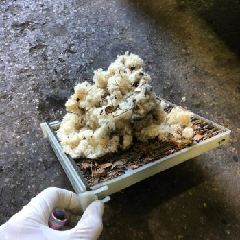 clogged and dirty air filter